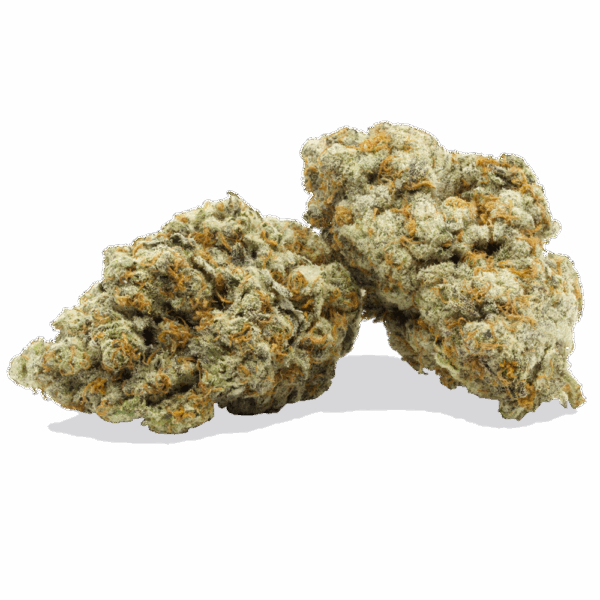 Dolato