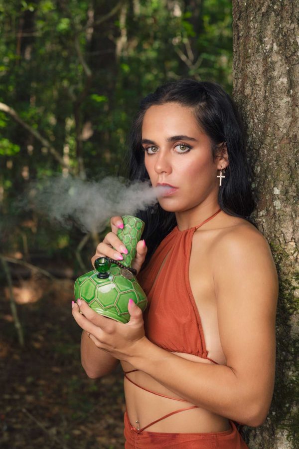 TURTLE WATER PIPE Market - Image 2